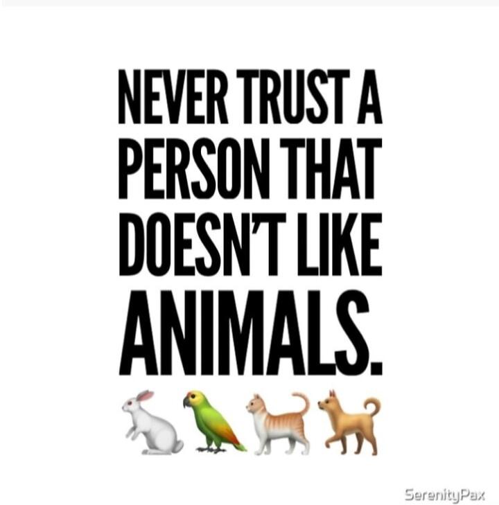 NEVER TRUST A PERSON THAT DOESN'T LIKE ANIMALS.