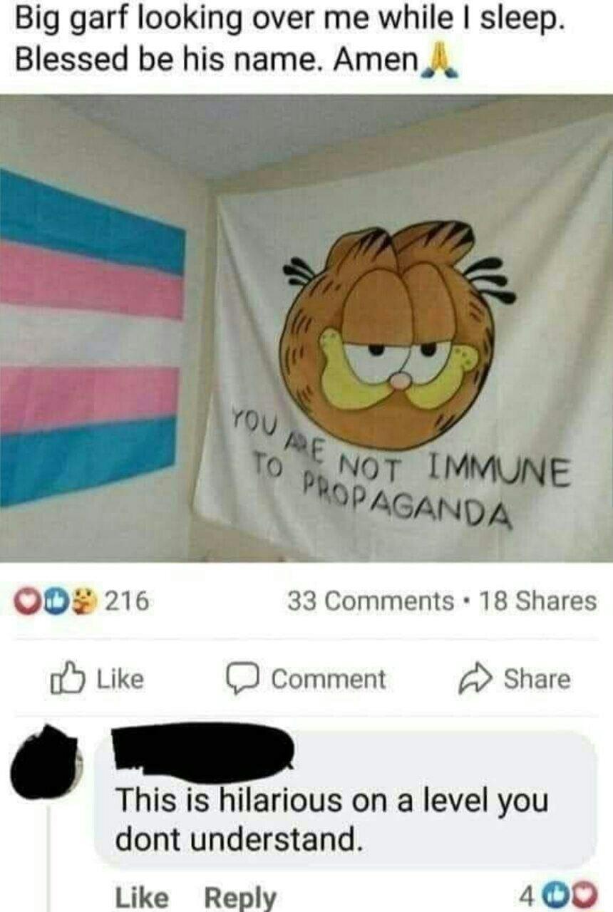 Big garf looking over me while slee Blessed be his name Amen 33 Comments 18 Shares oY Like comment Share This is ilarlous on a level you dont understand Like Repl 400