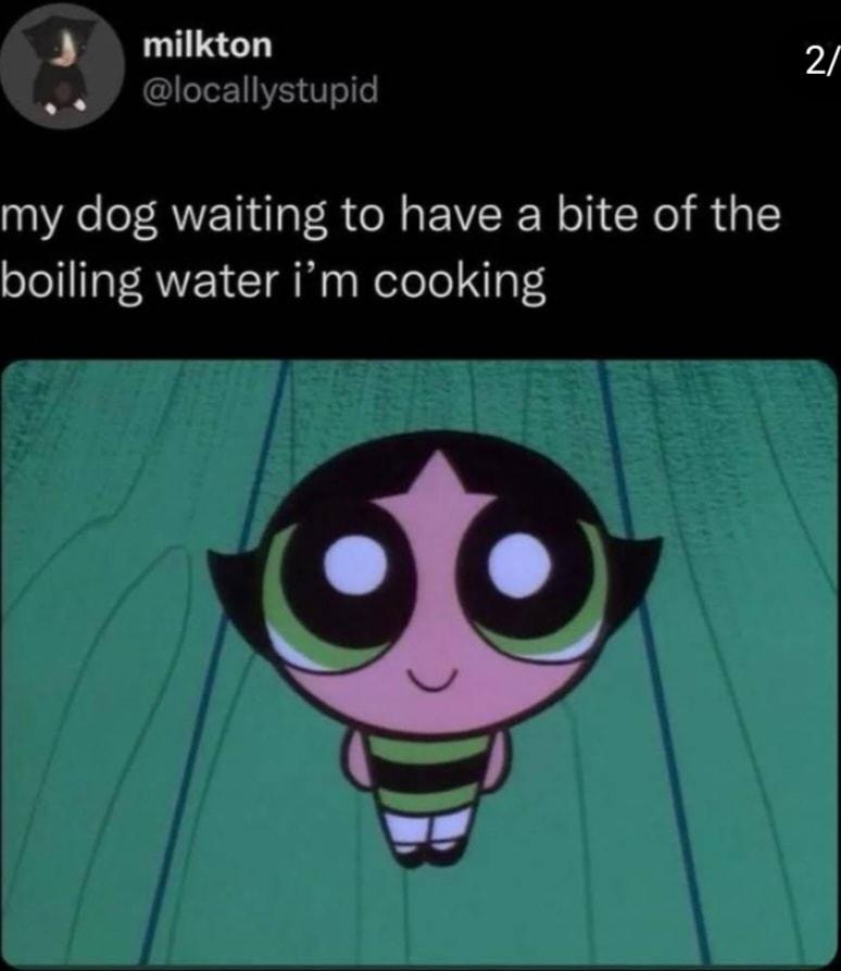 3 milkton 2 locallystupid my dog waiting to have a bite of the boiling water im cooking 2