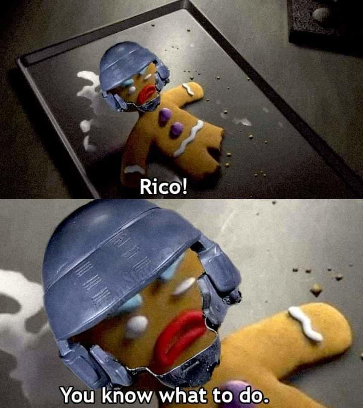 You know what to do