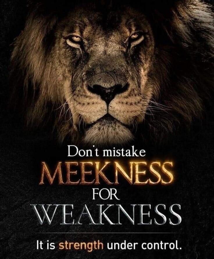 Don't mistake MEEKNESS FOR WEAKNESS It is strength under control.