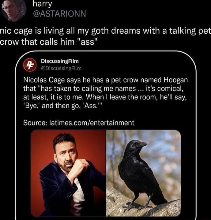harry SR nic cage is living all my goth dreams with a talking pet crow that calls him ass J Nicolas Cage says he has a pet crow named Hoogan that has taken to calling me names its comical at least it is to me When leave the room hell say Bye and then go Ass Source latimescomentertainment