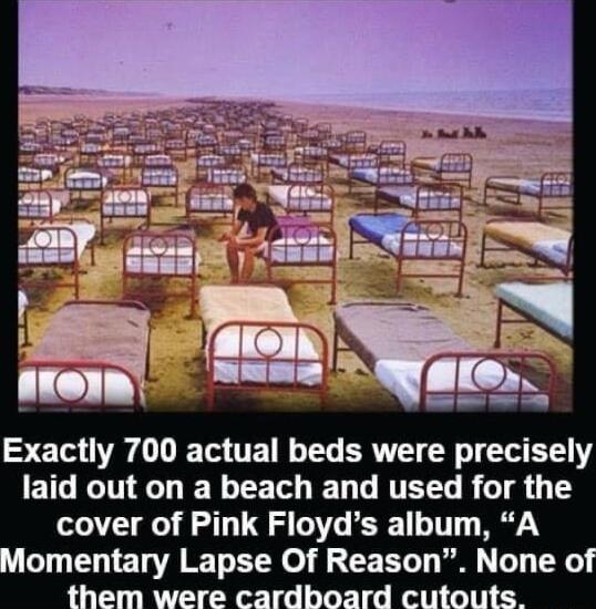 SE T DR TR TETIGEY ERTT CR T TR R Y EICEINEENEO D DRTEEL R g 0 T cover of Pink Floyds album A lomentary Lapse Of Reason None of hem W ardboard O