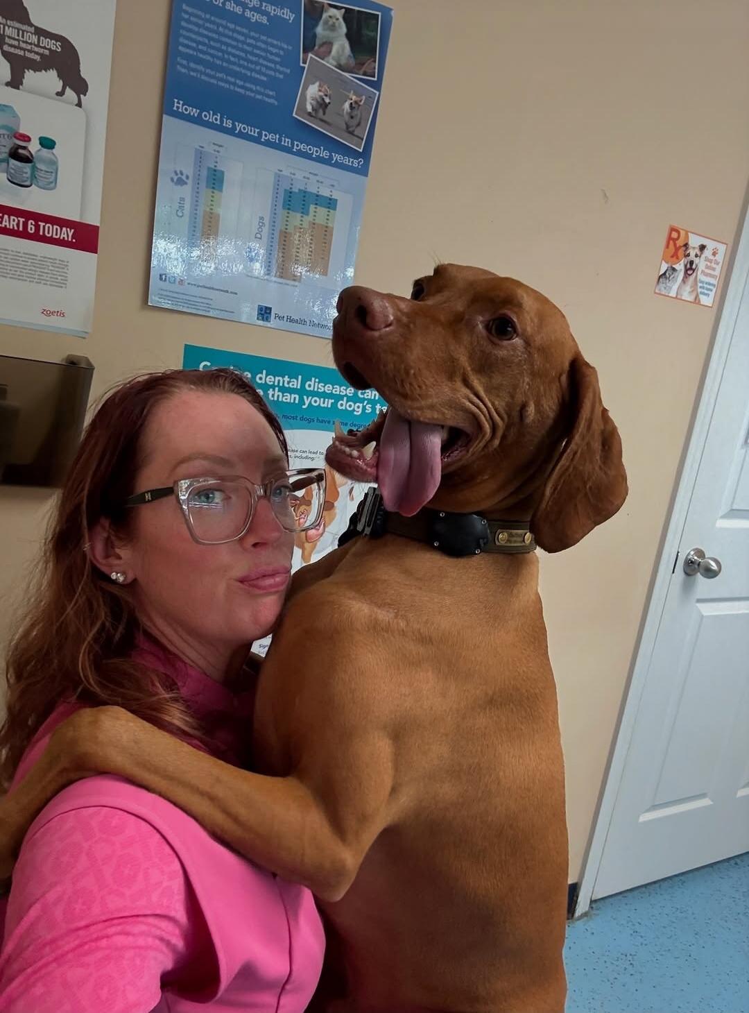 A brown dog hugging a woman in a clinic.