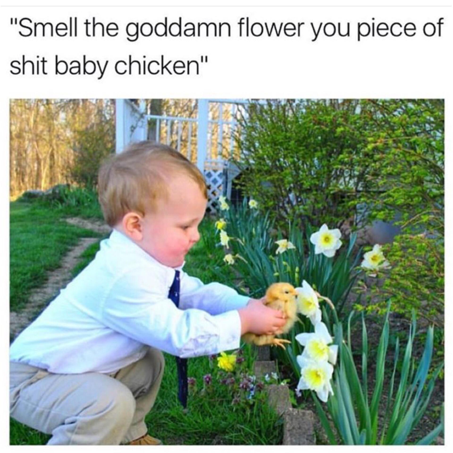 Smell the goddamn flower you piece of shit baby chicken 0 5 Tkl