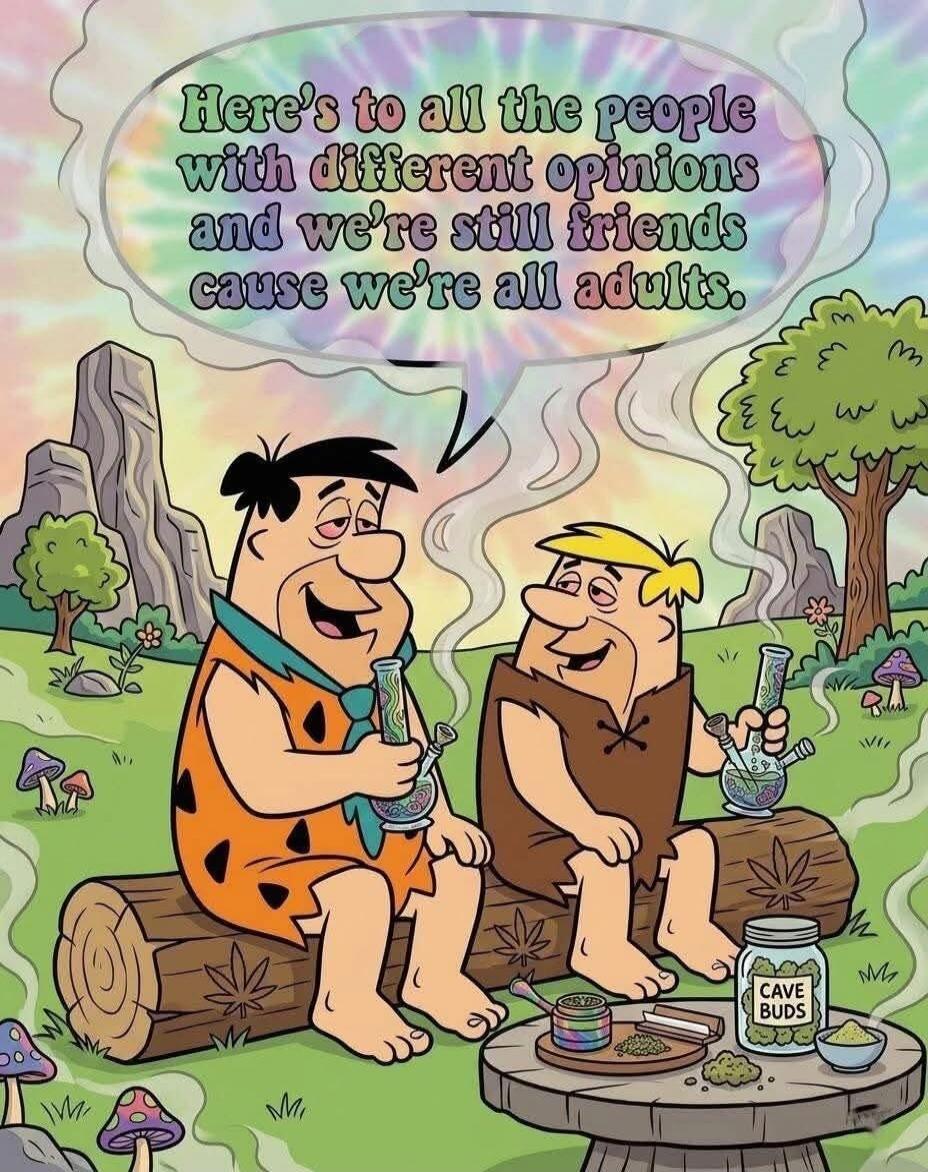 Here's to all the people with different opinions and we're still friends cause we're all adults. Cave Buds.