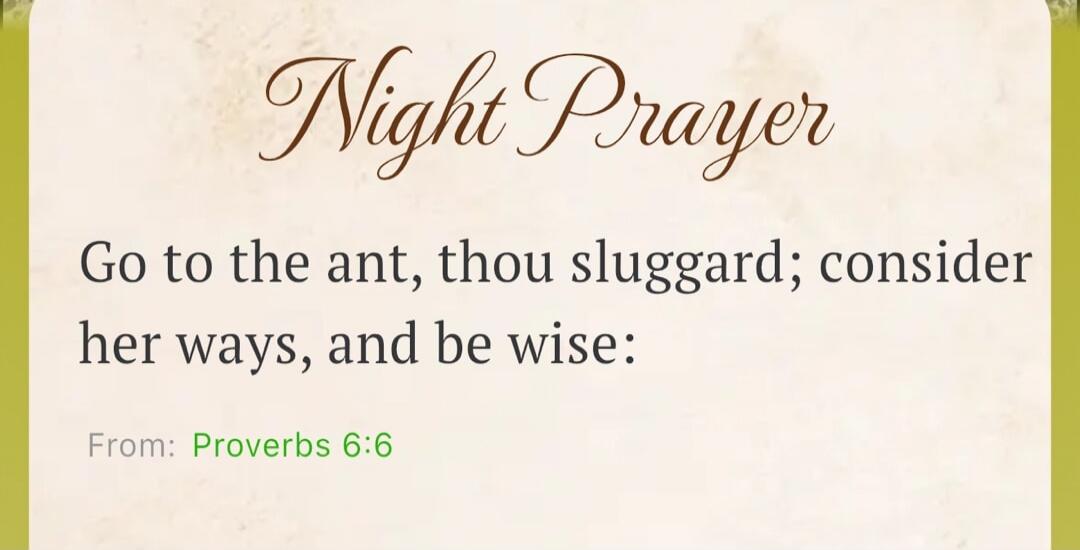 Night Prayer Go to the ant, thou sluggard; consider her ways, and be wise: From: Proverbs 6:6
