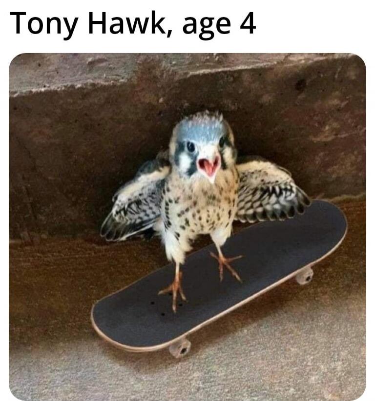Tony Hawk, age 4