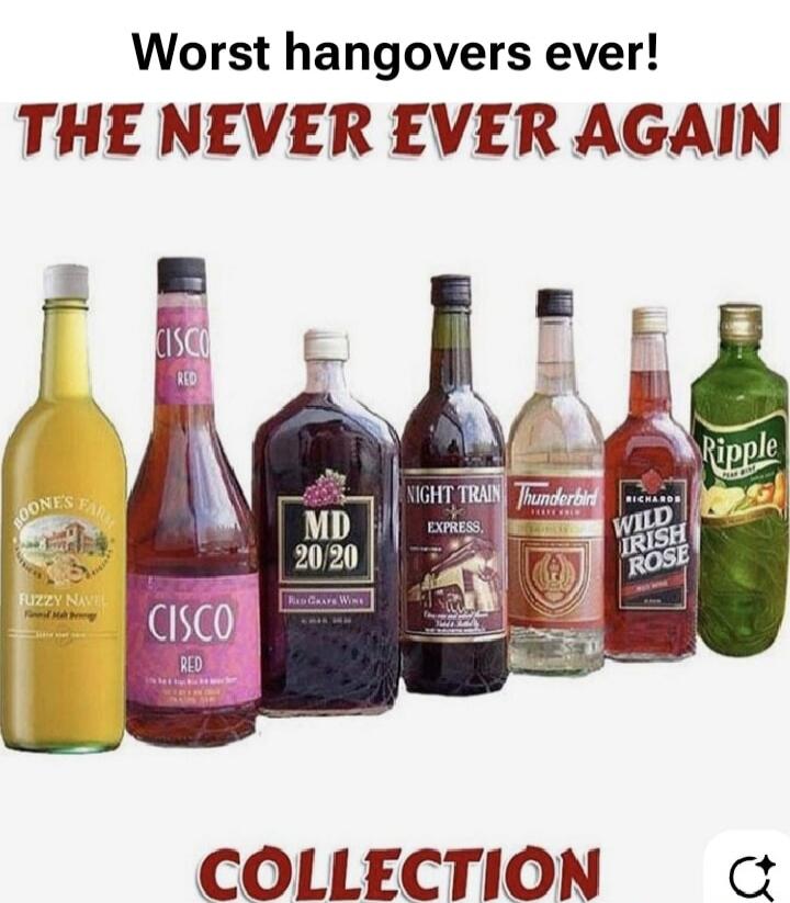 Worst hangovers ever! THE NEVER EVER AGAIN COLLECTION