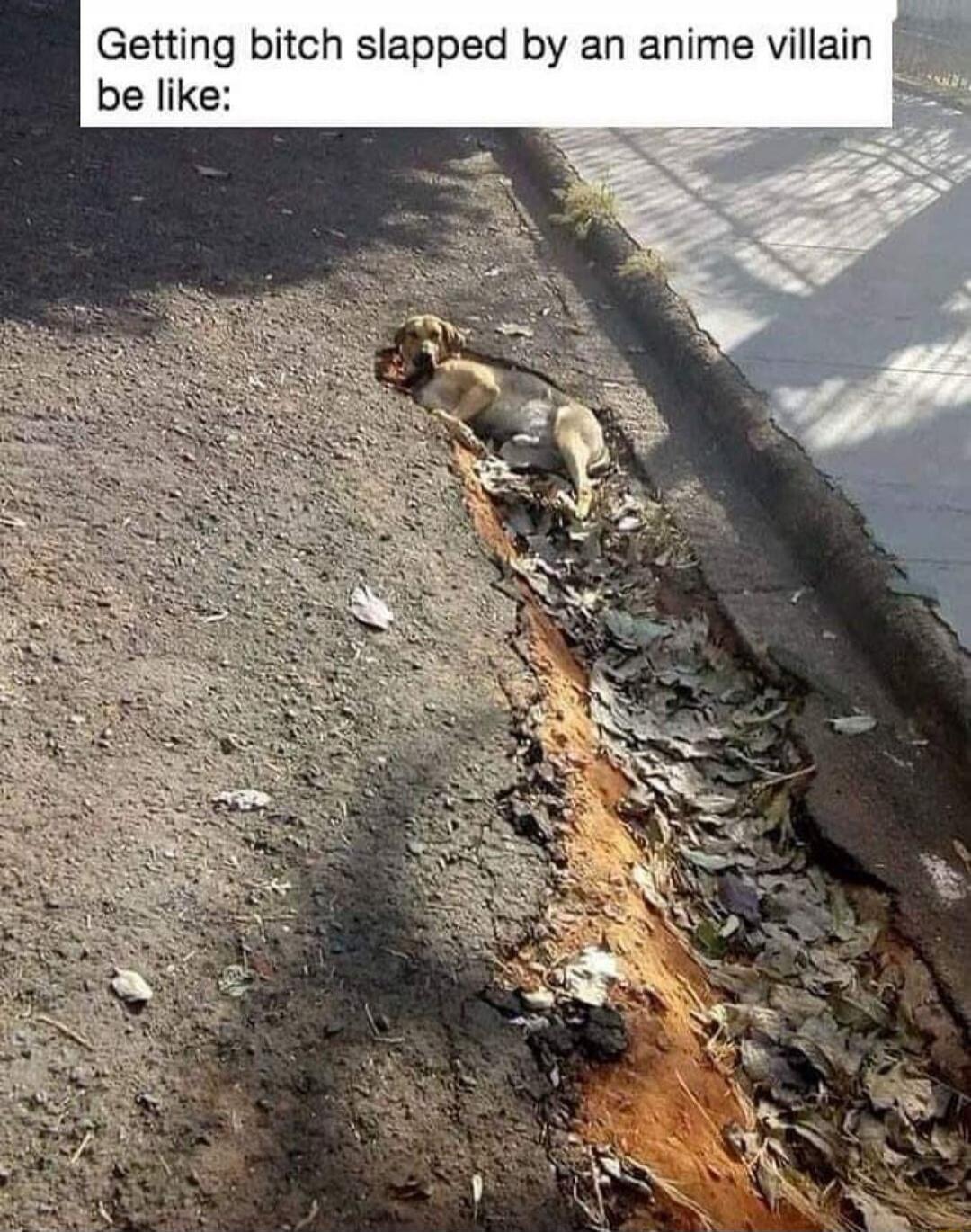 Getting bitch slapped by an anime villain be like: