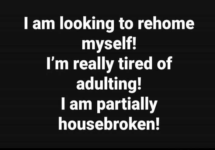 I am looking to rehome myself! I'm really tired of adulting! I am partially housebroken!