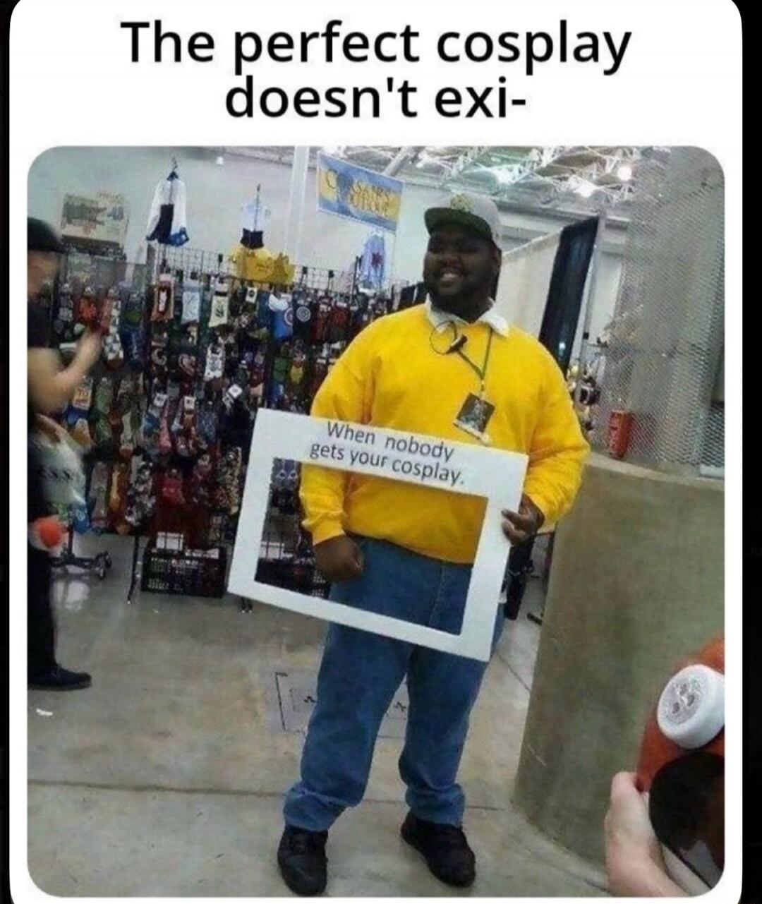 The perfect cosplay doesn't exi- When nobody gets your cosplay.