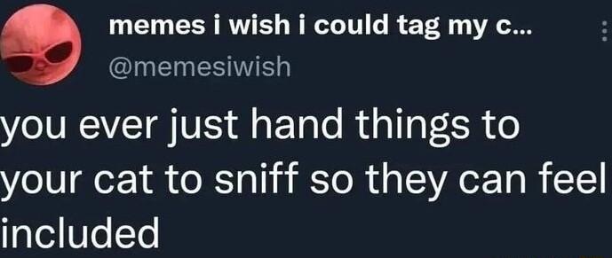 G EER R W LTI R T4 I ESIS you ever just hand things to your cat to sniff so they can feel included