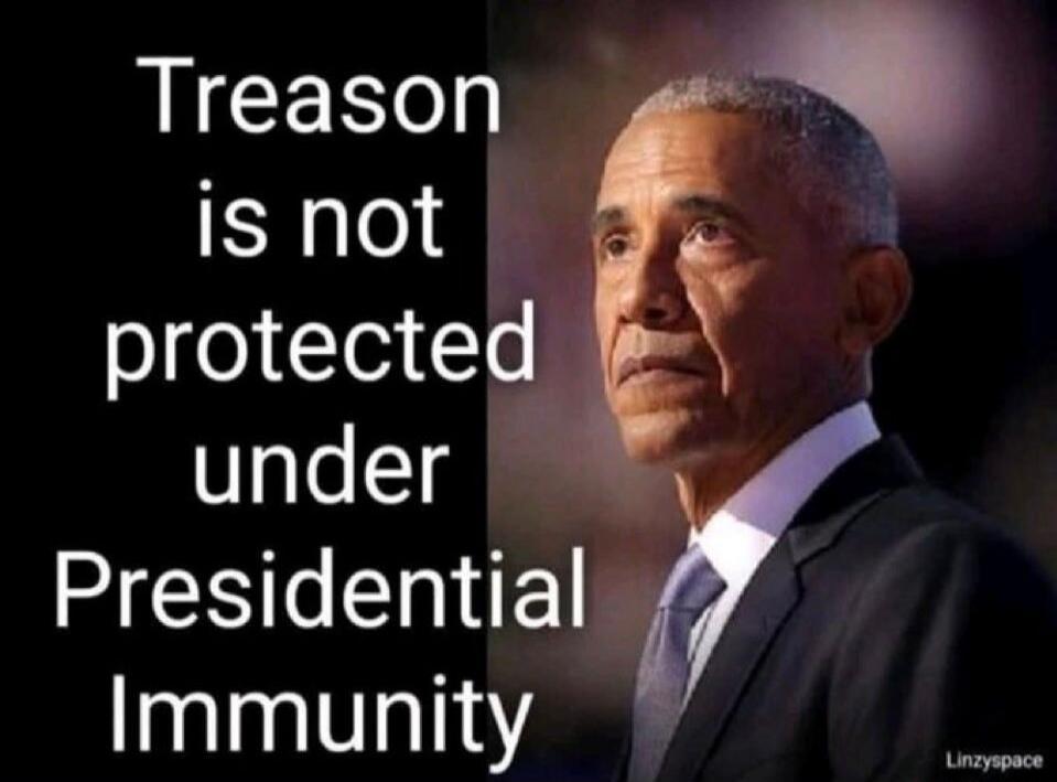 Treason is not protected under Presidential Immunity