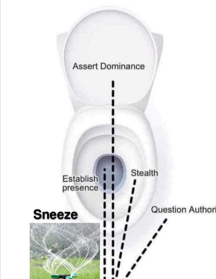 Assert Dominance Establish presence I