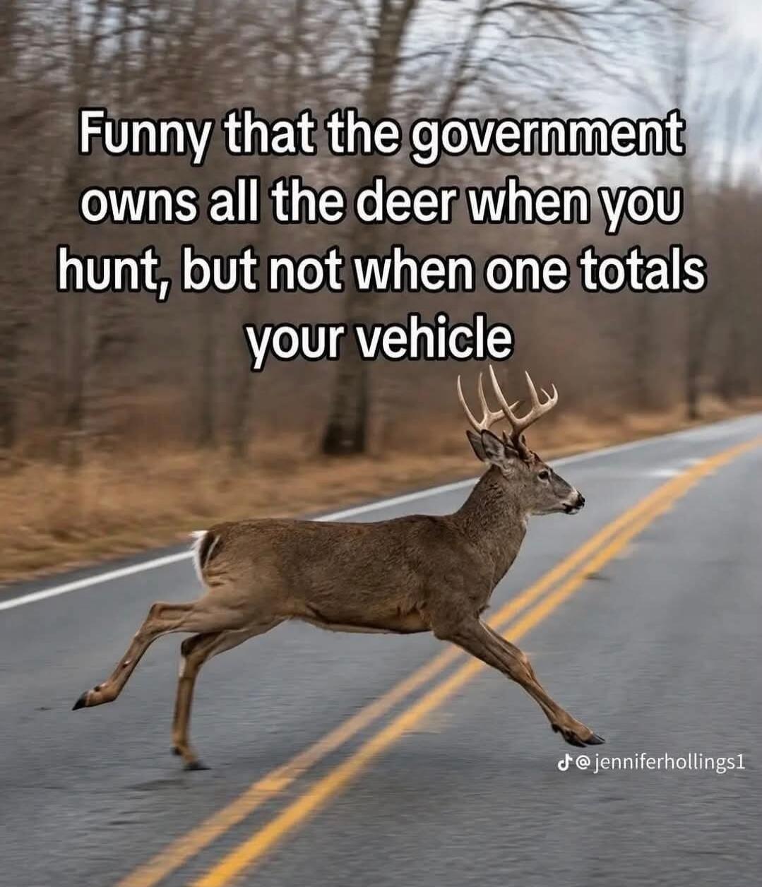 Funny that the government owns all the deer when you hunt, but not when one totals your vehicle