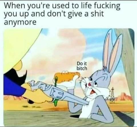 When youre used to life fucking you up and dont give a shit anymore