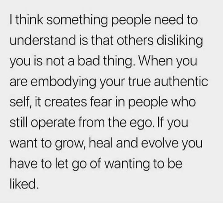 I think something people need to understand is that others disliking you is not a bad thing. When you are embodying your true authentic self, it creates fear in people who still operate from the ego. If you want to grow, heal and evolve you have to let go of wanting to be liked.