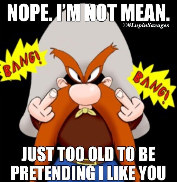 NOPE. I'M NOT MEAN. JUST TOO OLD TO BE PRETENDING I LIKE YOU