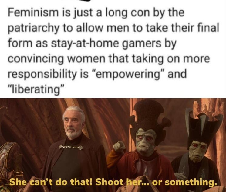 Feminism is just a long con by the patriarchy to allow men to take their final form as stay at home gamers by convincing women that taking on more responsibility is empowering and liberating