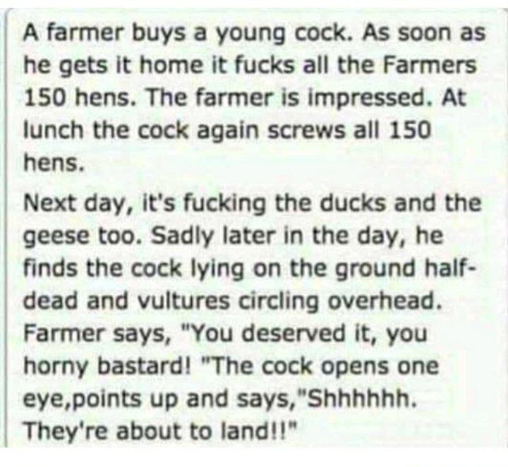 A farmer buys a young cock As soon as he gets it home it fucks all the Farmers 150 hens The farmer is impressed At lunch the cock again screws all 150 hens Next day its fucking the ducks and the geese too Sadly later in the day he finds the cock lying on the ground half dead and vultures circling overhead Farmer says You deserved it you horny bastard The cock opens one eyepoints up and saysShhhhhh