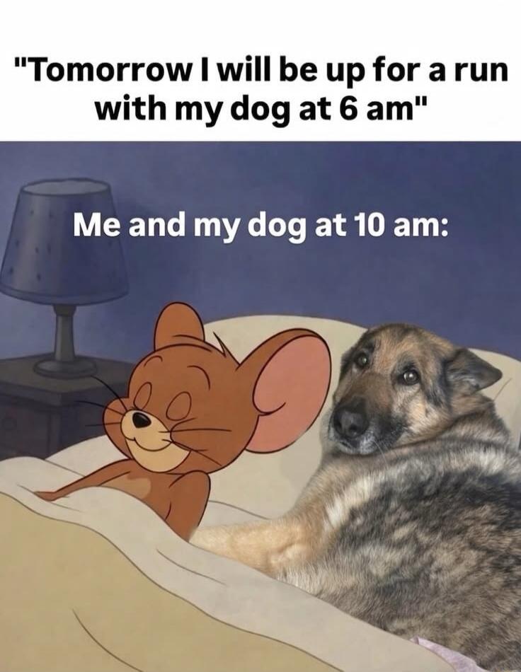 Tomorrow I will be up for a run with my dog at 6 am. Me and my dog at 10 am: