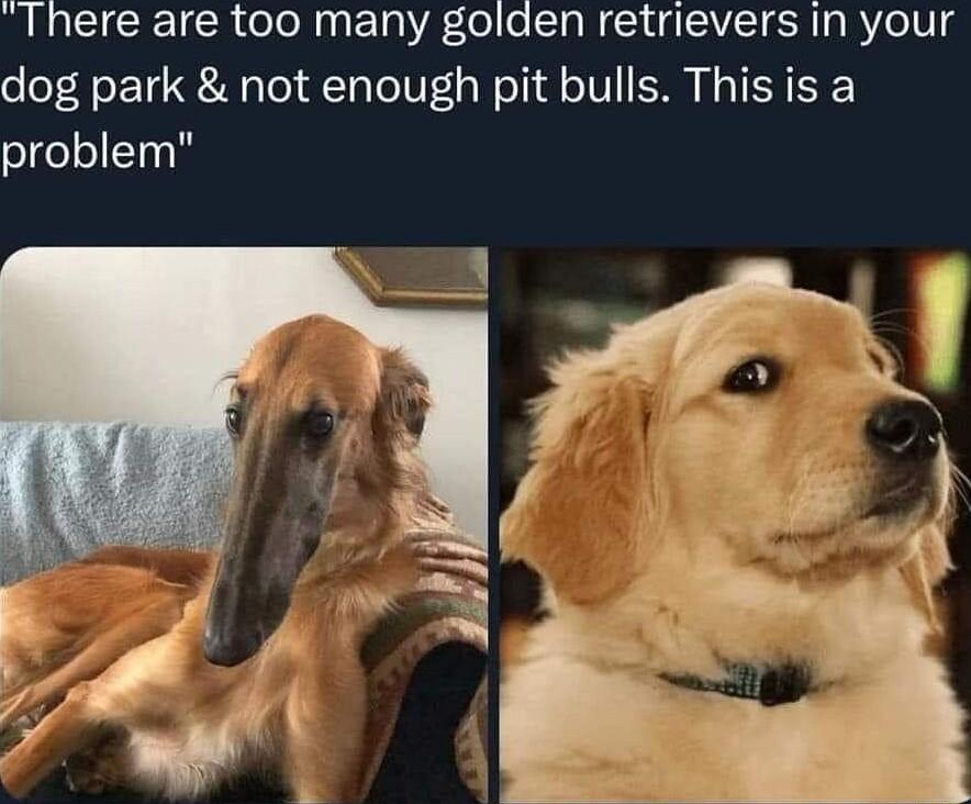 There are too many golden retrievers in your dog park not enough pit bulls This is a problem