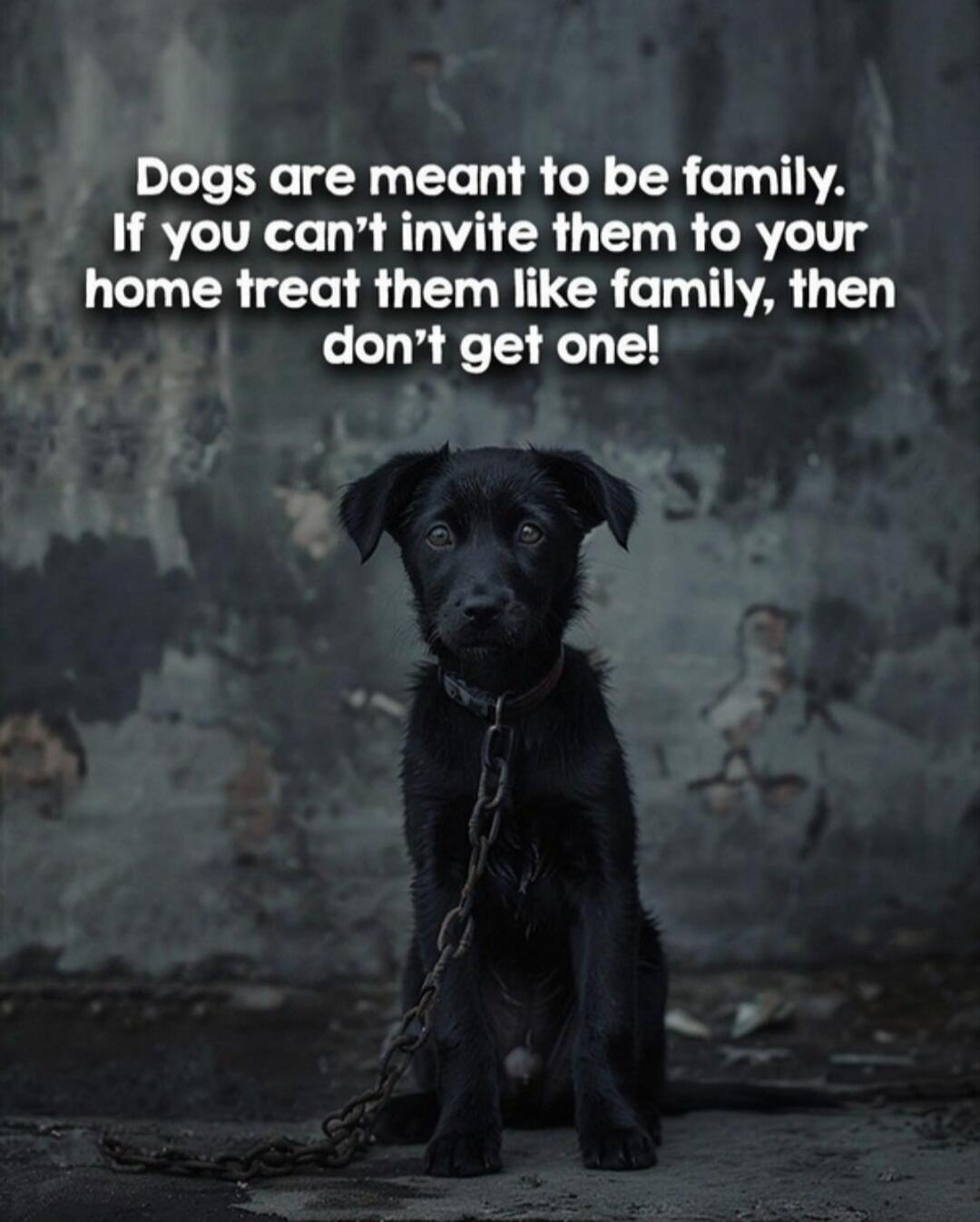 Dogs are meant to be family. If you can't invite them to your home treat them like family, then don't get one!