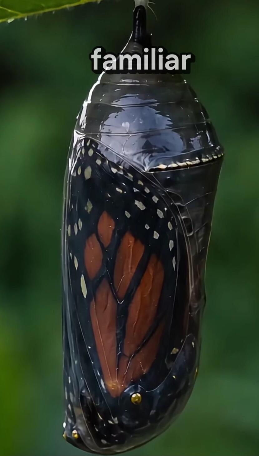 familiar