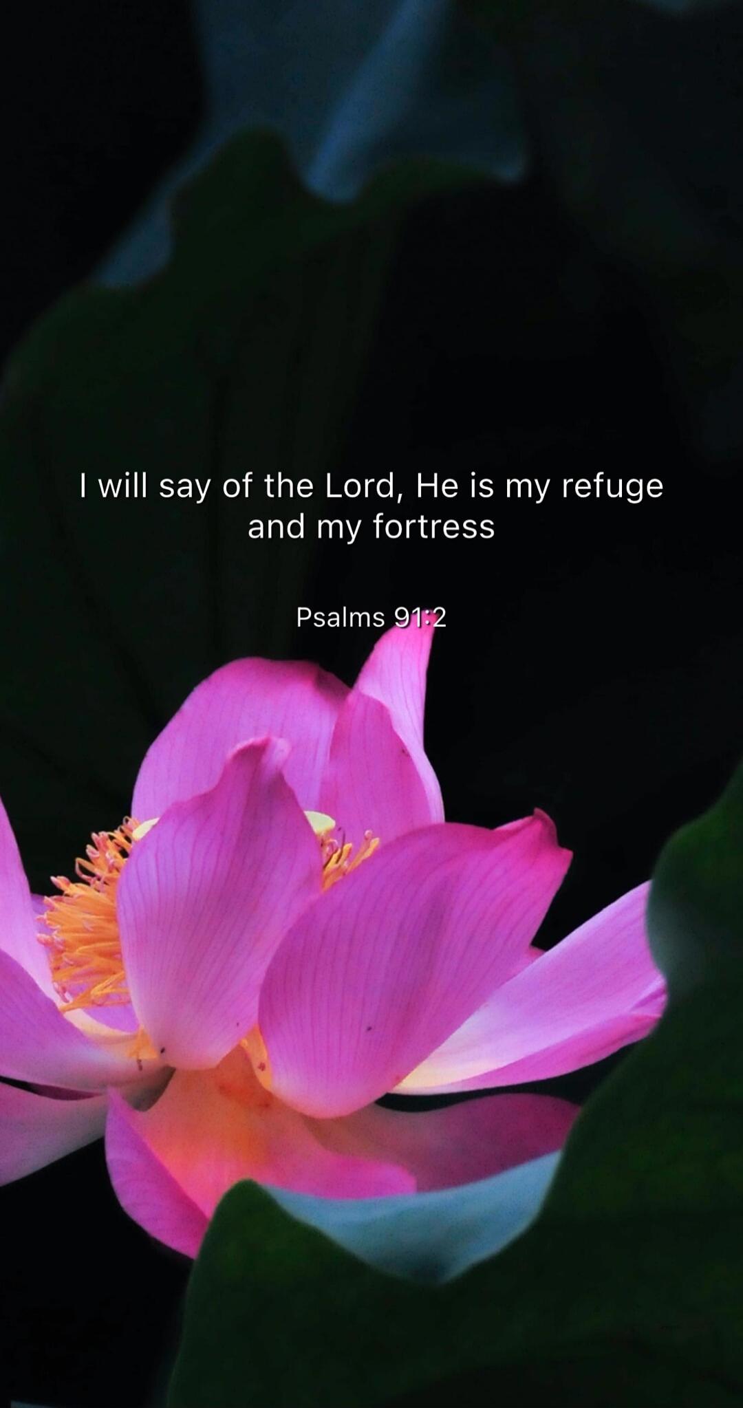 I will say of the Lord, He is my refuge and my fortress Psalm 91:2