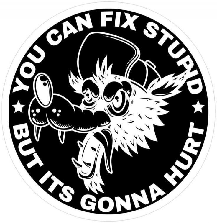 YOU CAN FIX STUPID BUT ITS GONNA HURT