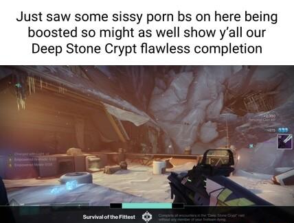 Just saw some sissy porn bs on here being boosted so might as well show yall our Deep Stone Crypt flawless completion
