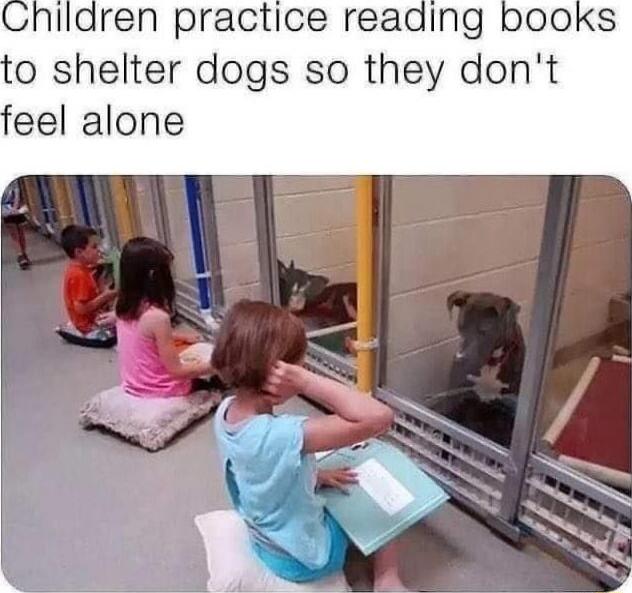 Children practice reading books to shelter dogs so they don't feel alone