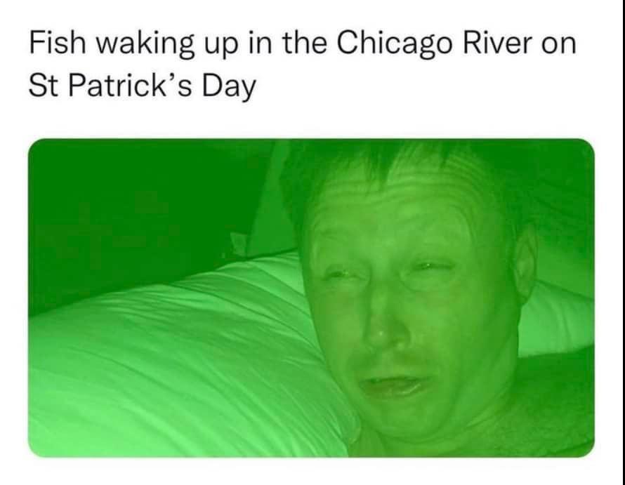 Fish waking up in the Chicago River on St Patricks Day