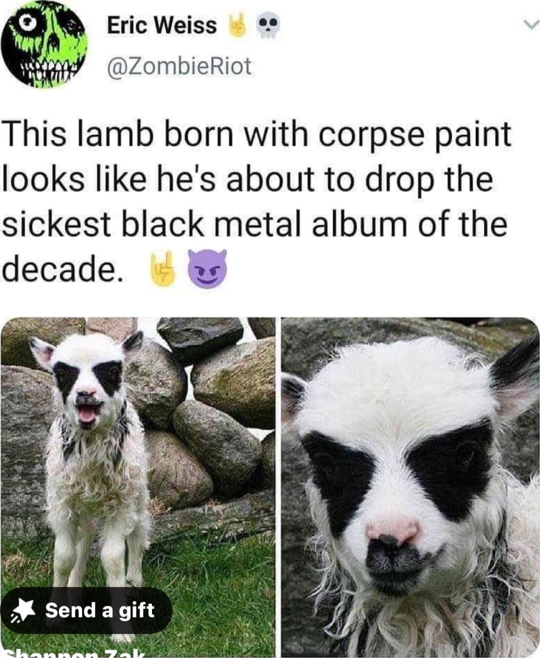 Eric Weiss ZombieRiot This lamb born with corpse paint looks like hes about to drop the sickest black metal album of the decade w A Send a gift