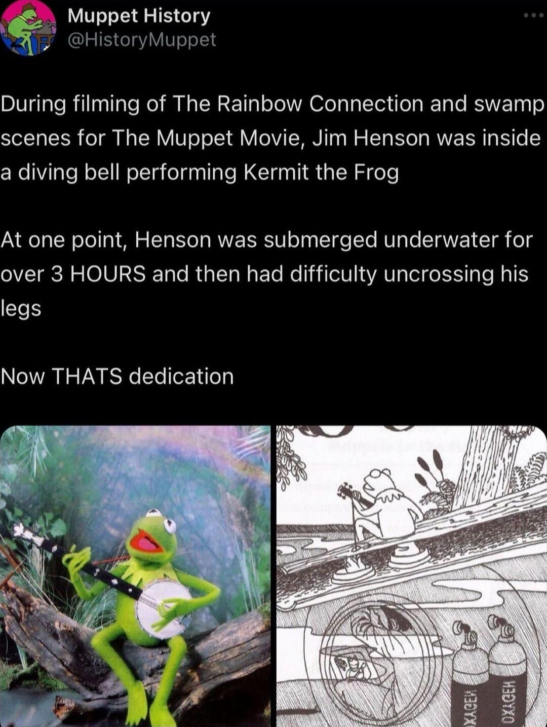 Muppet History HistoryMuppet During filming of The Rainbow Connection and swamp scenes for The Muppet Movie Jim Henson was inside a diving bell performing Kermit the Frog At one point Henson was submerged underwater for over 3 HOURS and then had difficulty uncrossing his l Now THATS dedication