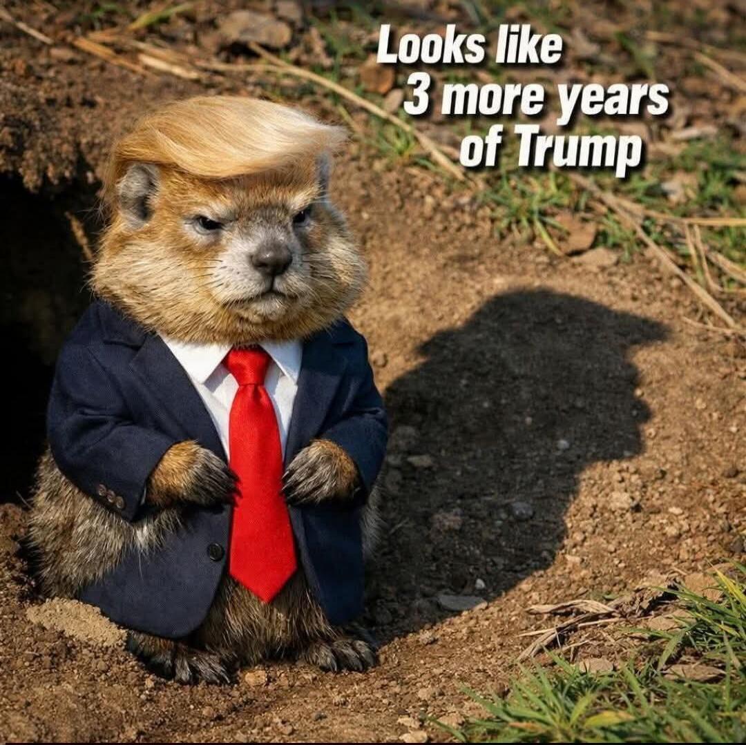 Looks like 3 more years of Trump