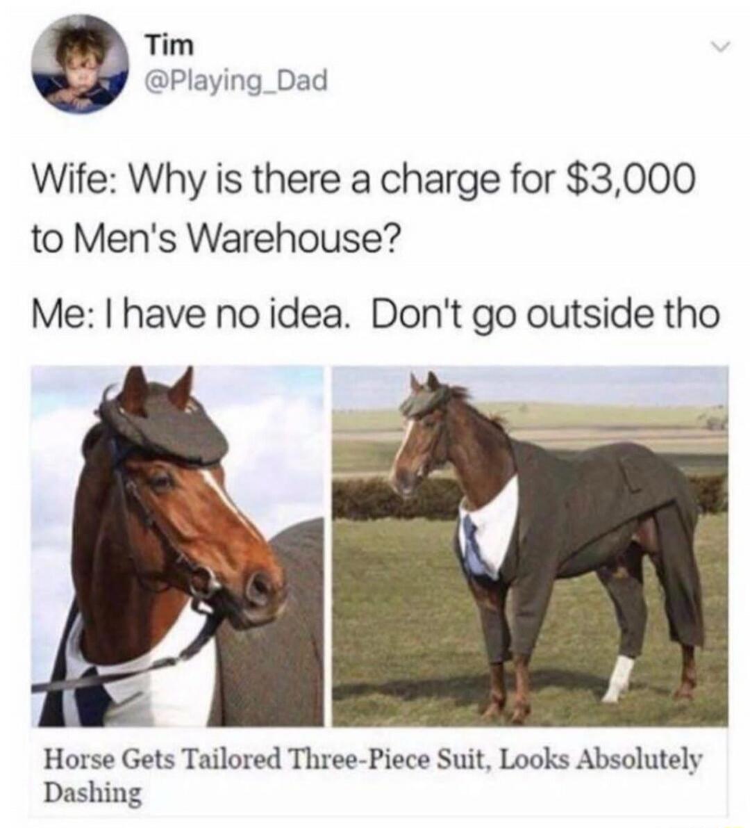 Wife: Why is there a charge for $3,000 to Men's Warehouse? Me: I have no idea. Don't go outside tho

Horse Gets Tailored Three-Piece Suit, Looks Absolutely Dashing