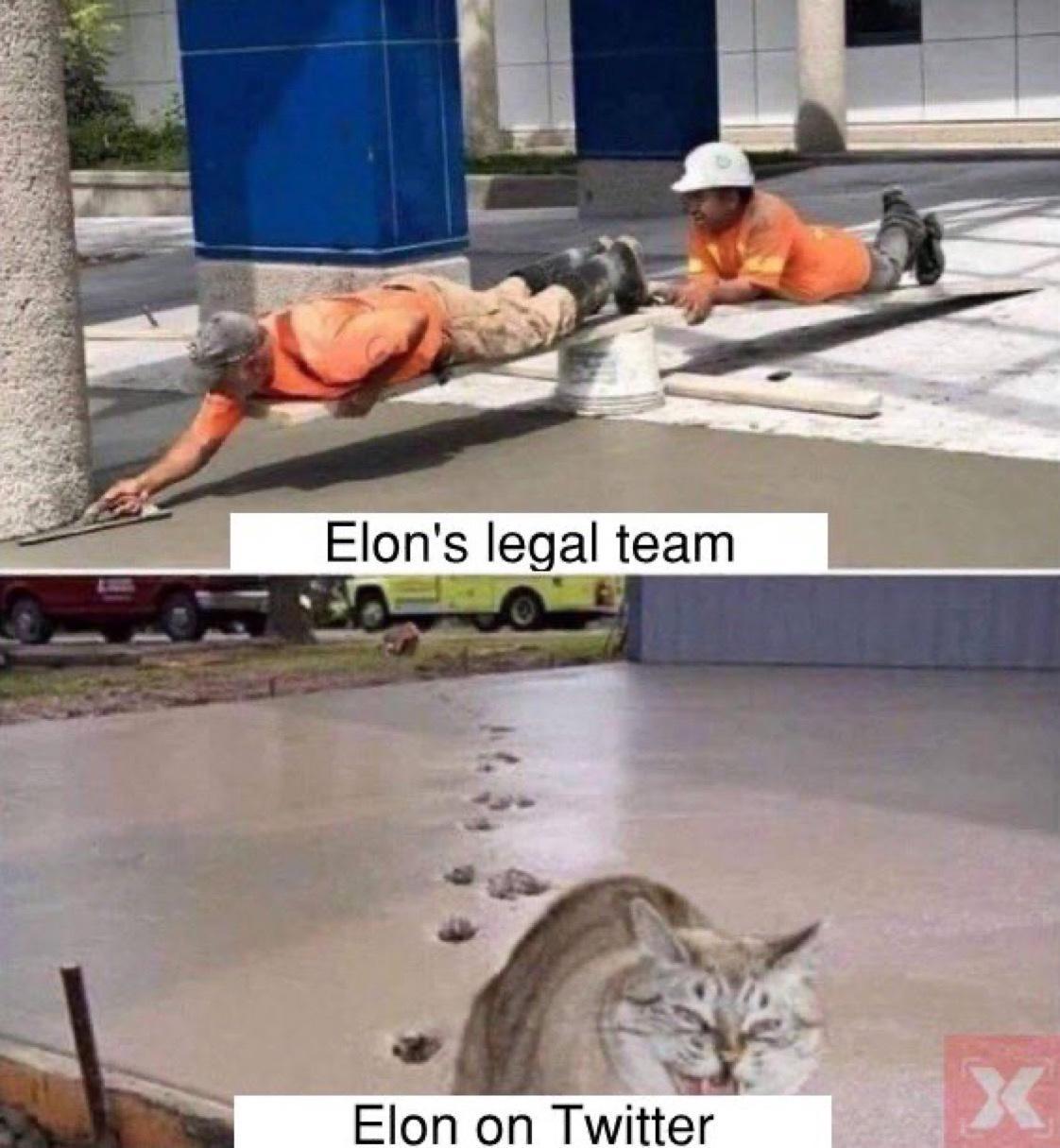 e Elon on Twitter