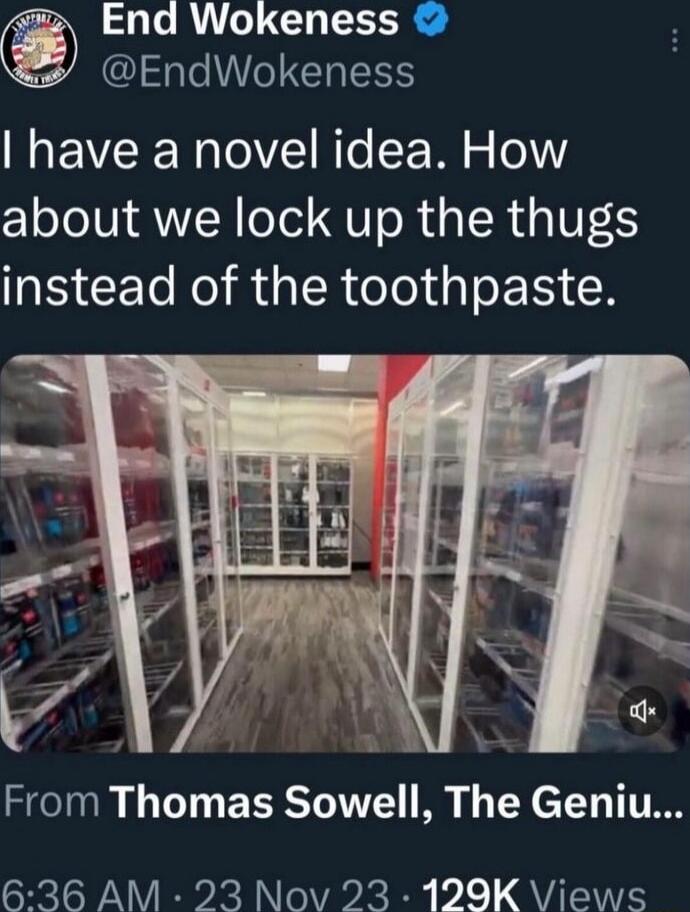 End Wokeness EndWokeness have a novel idea How about we lock up the thugs instead of the toothpaste From Thomas Sowell The Geniu 636 AM 23 Nov 23 129K Views