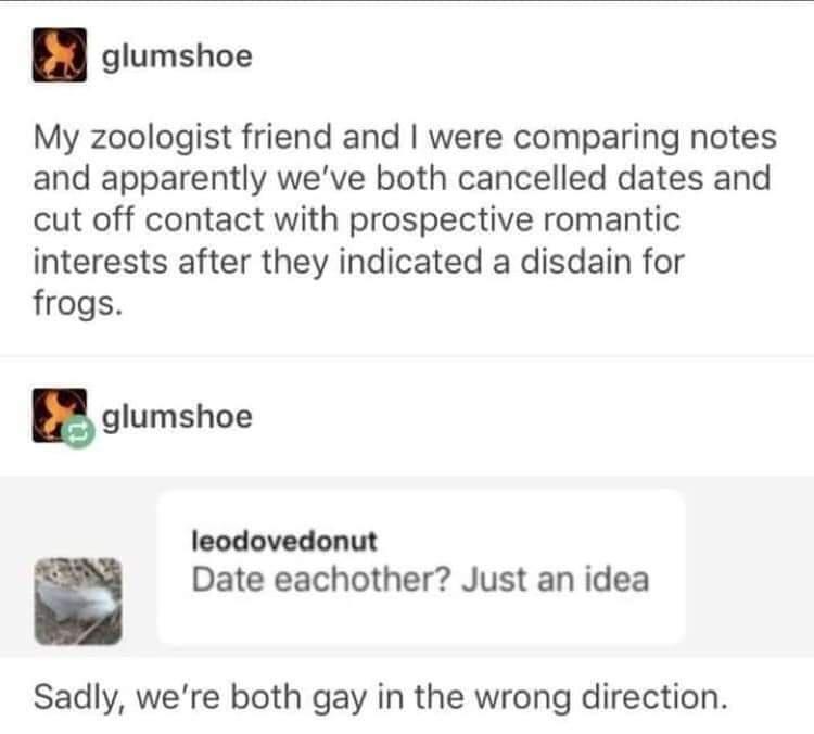 glumshoe My zoologist friend and were comparing notes and apparently weve both cancelled dates and cut off contact with prospective romantic interests after they indicated a disdain for frogs gglumshoe leodovedonut a Date eachother Just an idea Sadly were both gay in the wrong direction