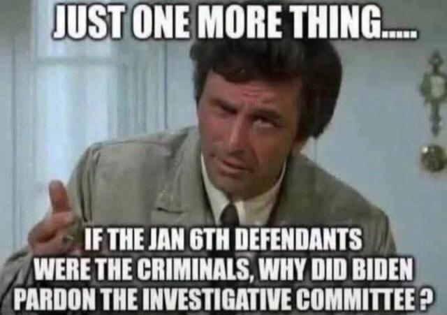JUST ONE MORE THING..... IF THE JAN 6TH DEFENDANTS WERE THE CRIMINALS, WHY DID BIDEN PARDON THE INVESTIGATIVE COMMITTEE?