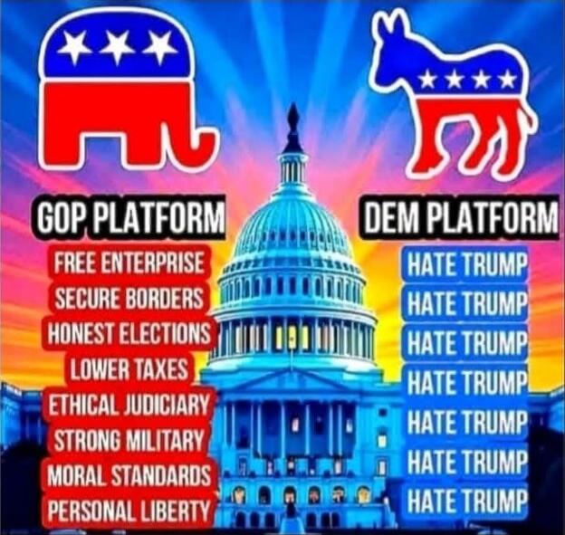 GOP PLATFORM FREE ENTERPRISE SECURE BORDERS HONEST ELECTIONS LOWER TAXES ETHICAL JUDICIARY STRONG MILITARY MORAL STANDARDS PERSONAL LIBERTY DEM PLATFORM HATE TRUMP HATE TRUMP HATE TRUMP HATE TRUMP