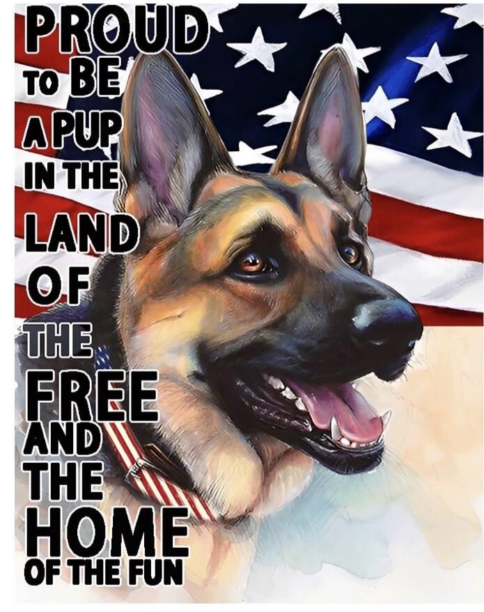 PROUD TO BE A PUP IN THE LAND OF THE FREE AND THE HOME OF THE FUN