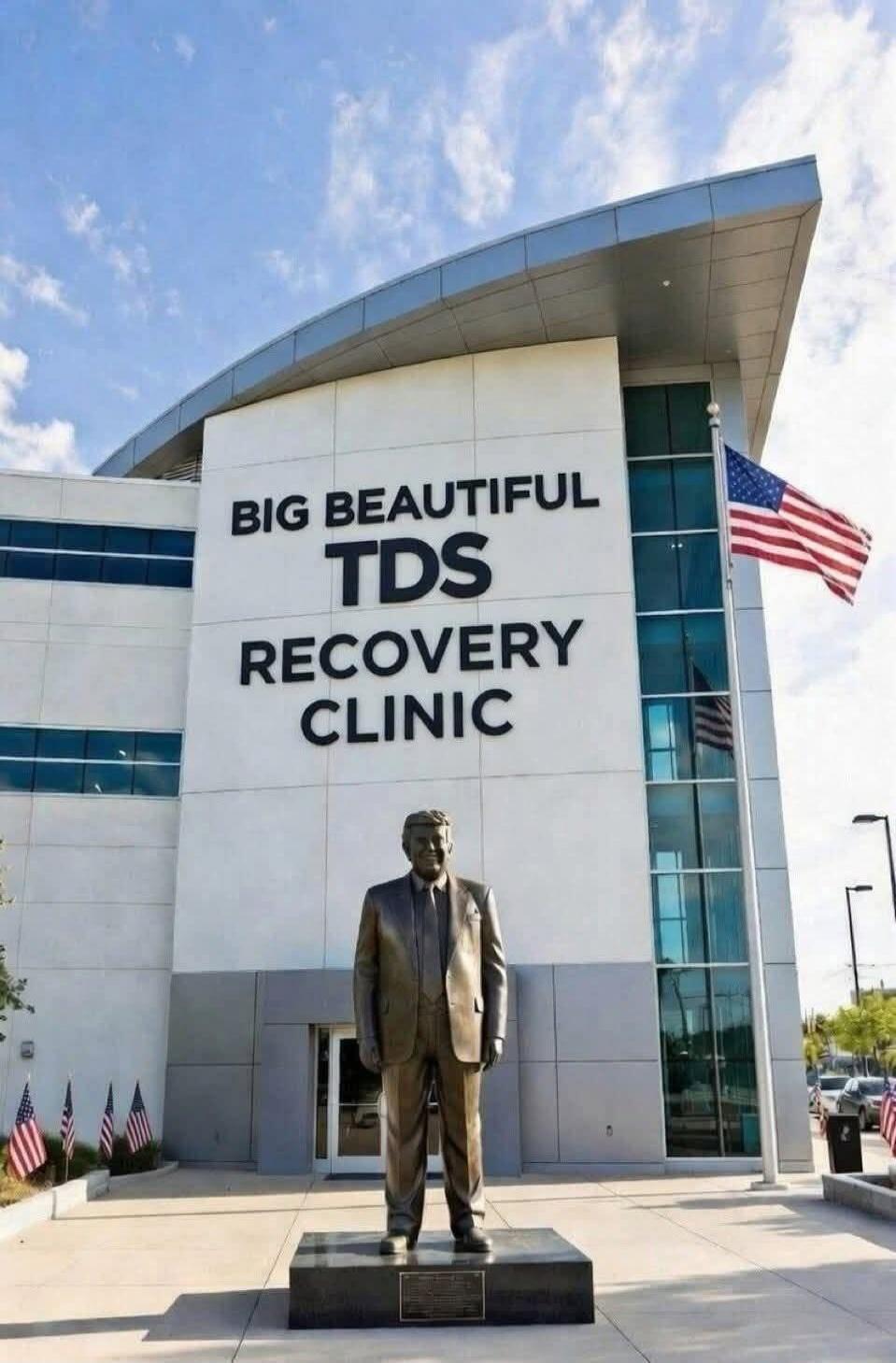 BIG BEAUTIFUL TDS RECOVERY CLINIC