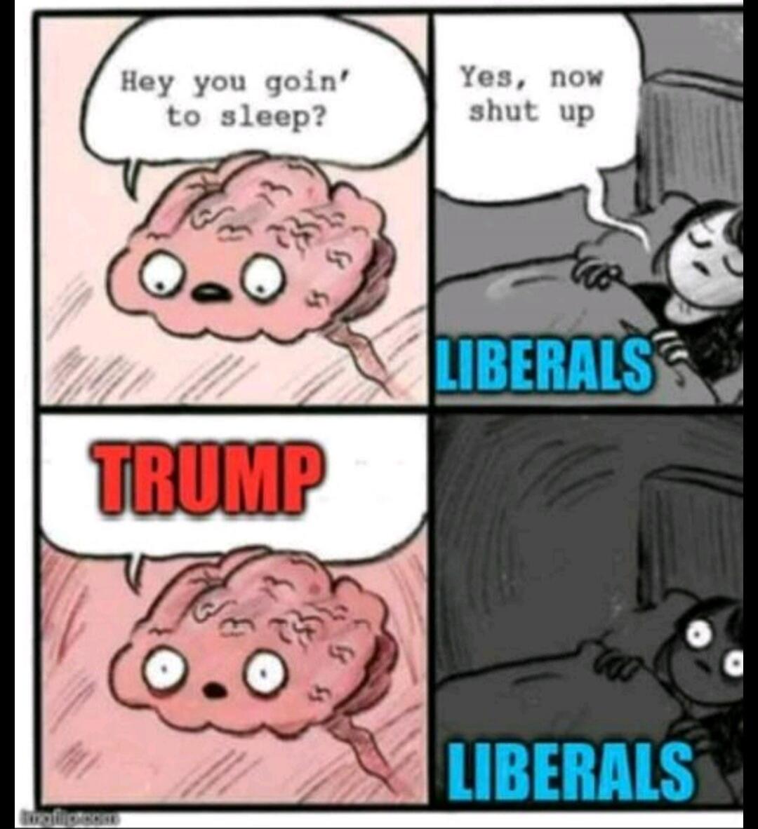 Hey you goin' to sleep? Yes, now shut up. TRUMP. LIBERALS.