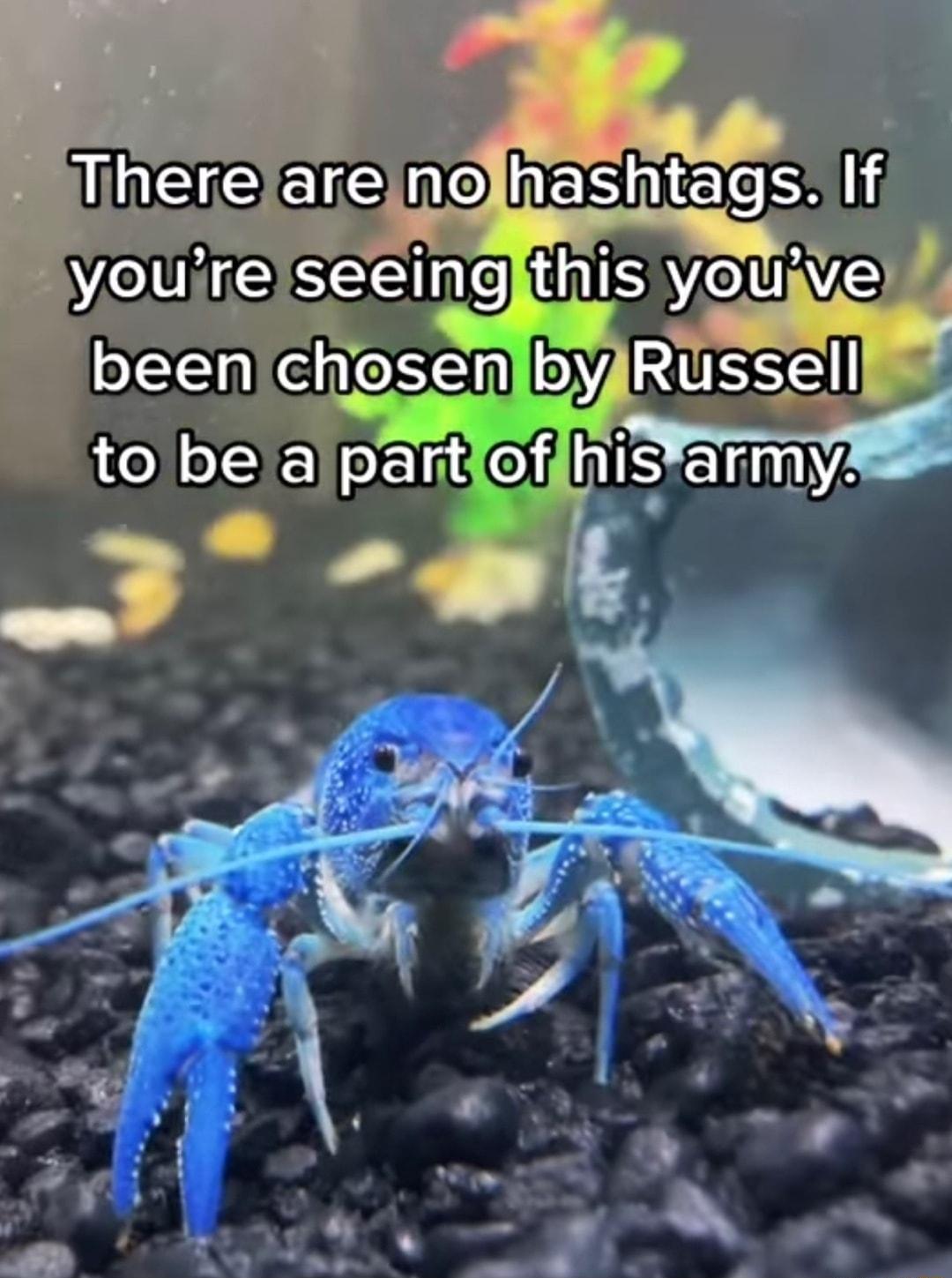IIhERERE N hashta_gg If VeI HE SEne T euAE SN 9 RUVESSEL o oYX o o 18 o hlsarm y