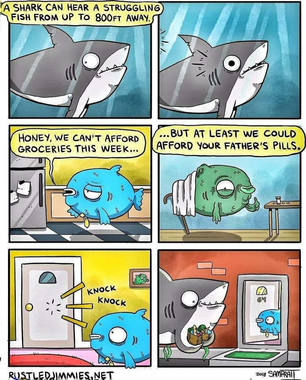A SHARK CAN HEAR A STRUGGLING FISH FROM UP To 800FT AWAY HONEY WE CANT ArForo BUT AT LEAST WE COULD GROCERIES THIS WEEK NAFFORD YOUR FATHERS PILLS RUSTLEDIMMIESNET i