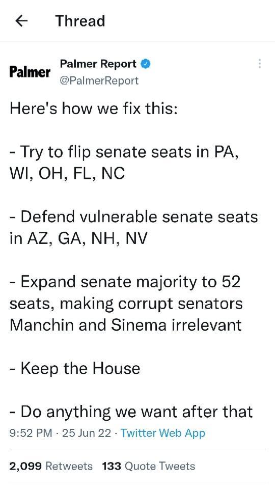 Thread Palmer Report PalmerReport Palmer Heres how we fix this Try to flip senate seats in PA WI OH FL NC Defend vulnerable senate seats in AZ GA NH NV Expand senate majority to 52 seats making corrupt senators Manchin and Sinema irrelevant Keep the House Do anything we want after that 952 PM 25 Jun 22 Twitter Web App 2099 Retweets 133 Quote Tweets