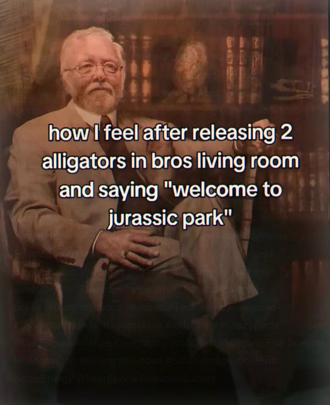 how I feel after releasing 2 alligators in bros living room and saying 